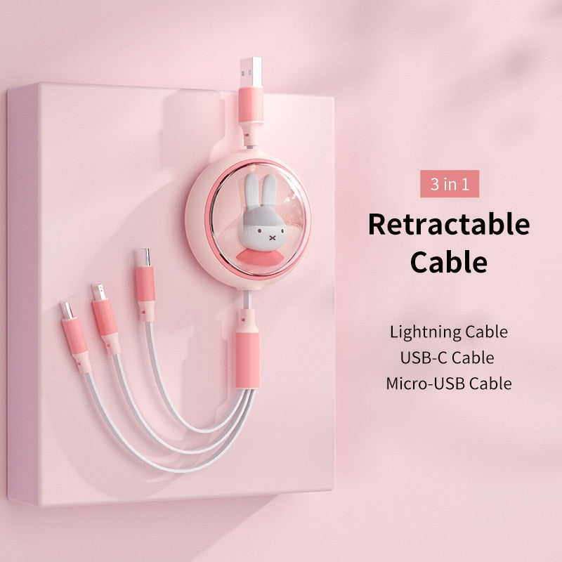 3-in-1 USB C cable charger