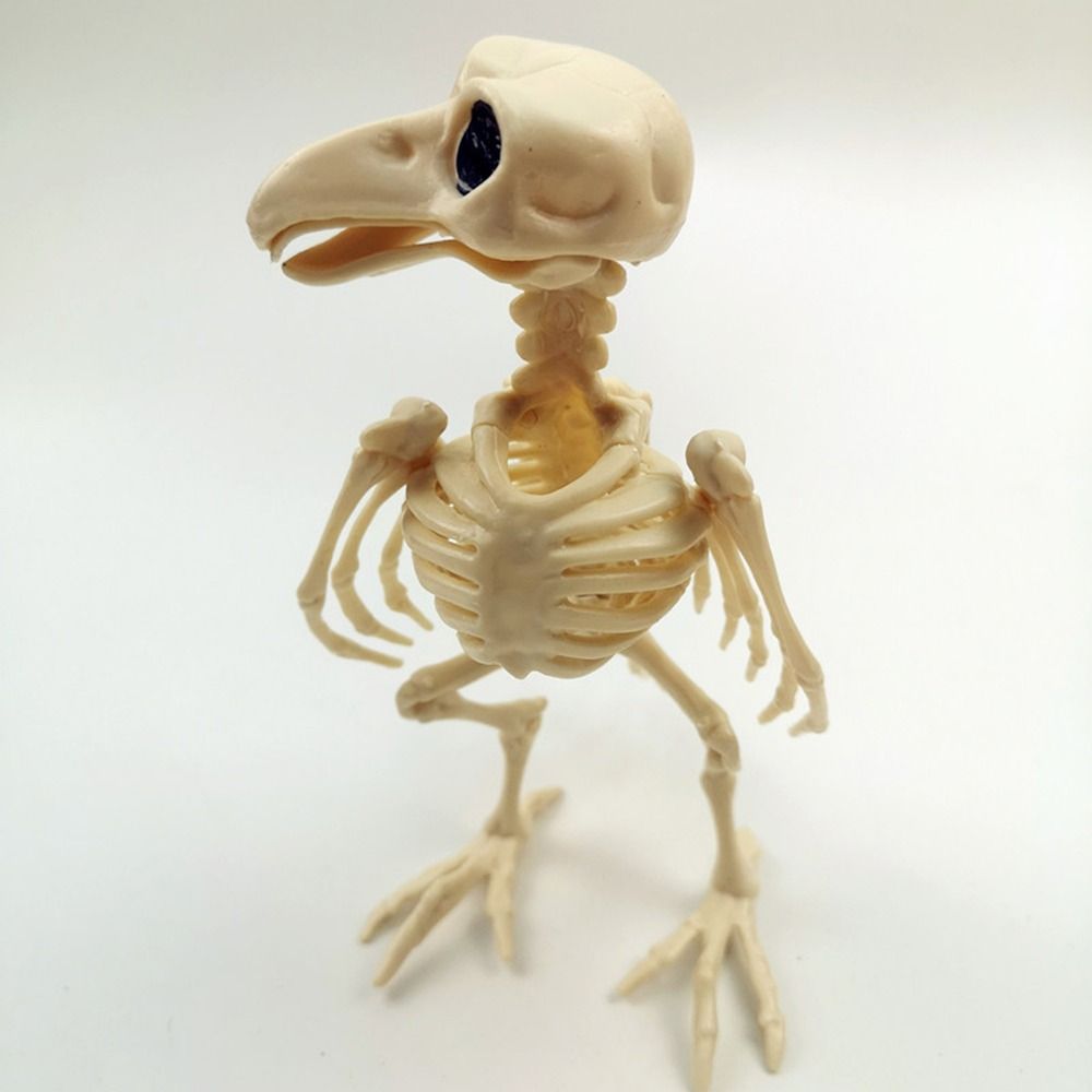 Crazy Bone Skeleton Raven Plastic Animal Skeleton Bones