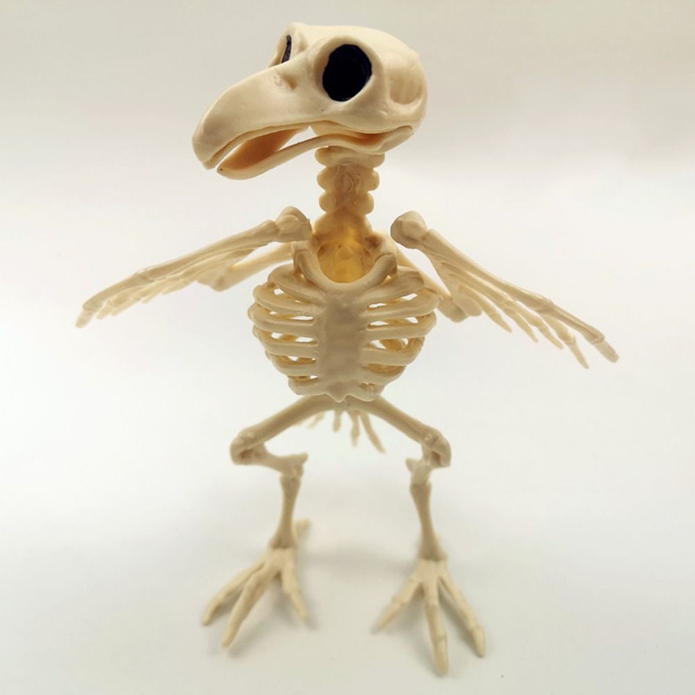 Crazy Bone Skeleton Raven Plastic Animal Skeleton Bones