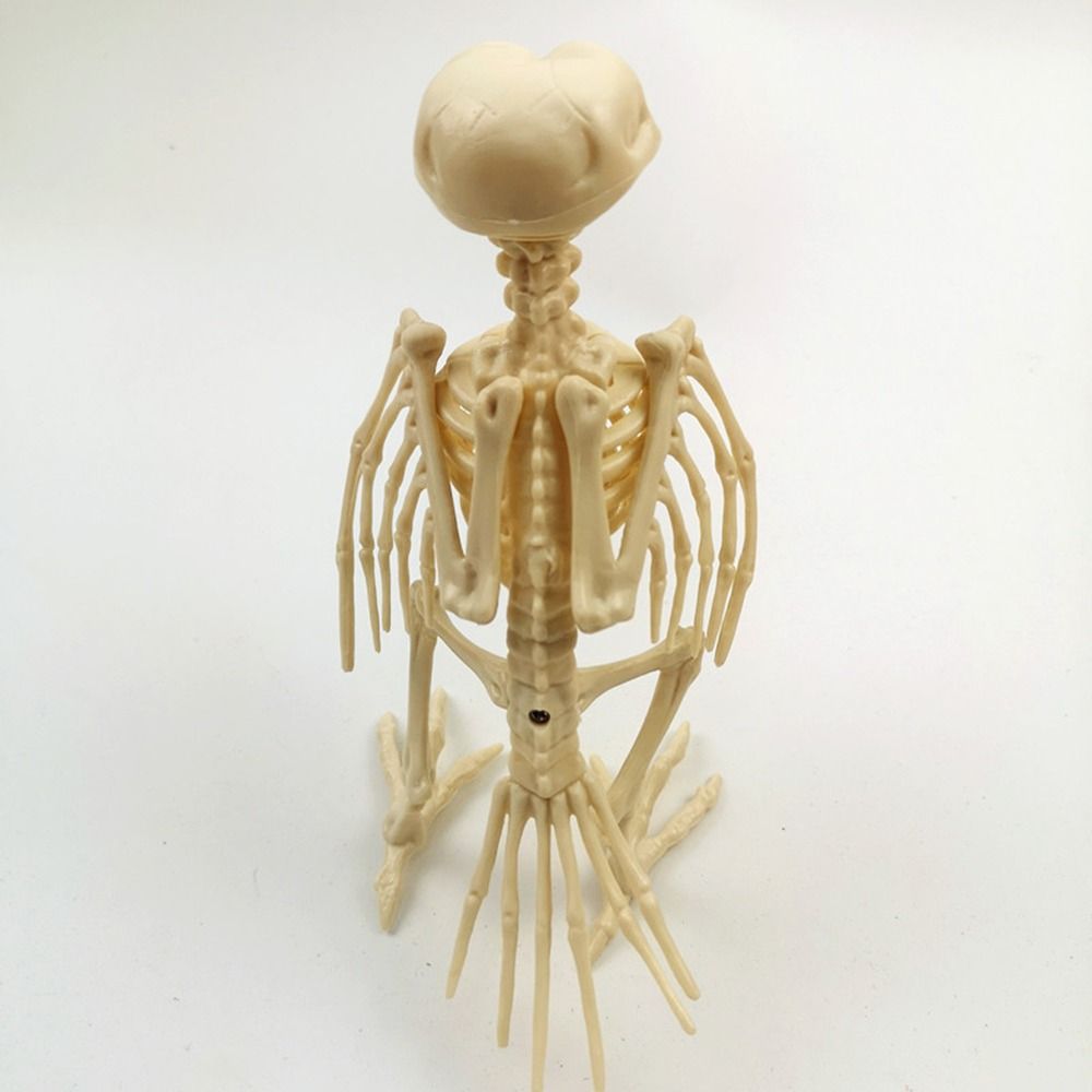 Crazy Bone Skeleton Raven Plastic Animal Skeleton Bones